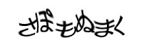 Authentication image